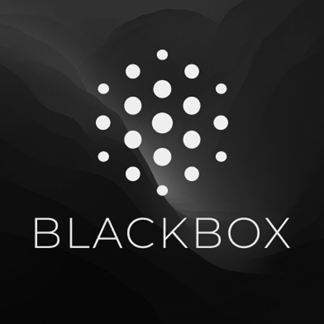 blackbox, AI, artificial intelligence, machine learning, deep learning, neural networks, data science, robotics, automation, natural language processing, computer vision, big data, predictive analytics, intelligent systems, cognitive computing, expert systems, architecture, studio